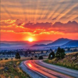 Meet your Posher, Cody